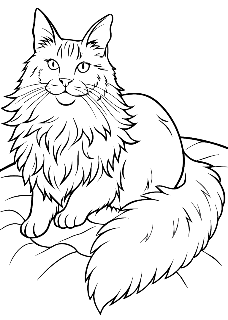 coloring pages