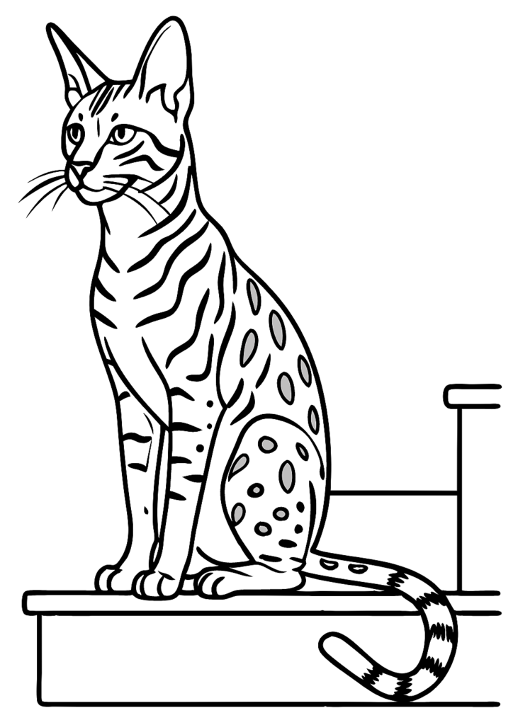 cat color page, Cat Coloring Page, Cat Coloring Pages, Cat Coloring sheets, color pictures for kids, Coloring pages, coloring pages of cute cats, coloring sheets, coloring sheets for kids, free coloring sheets, free downlord, free drawings to color, hello kitty free coloring sheets, kitten coloring pages, pdf