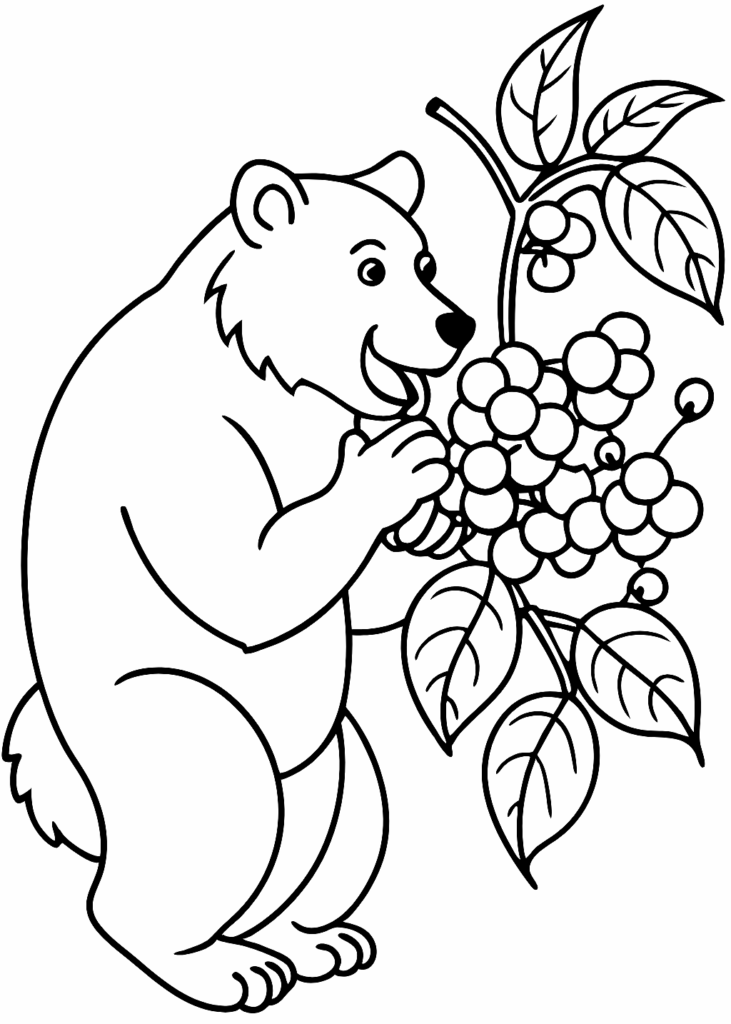 Bear Coloring Pages