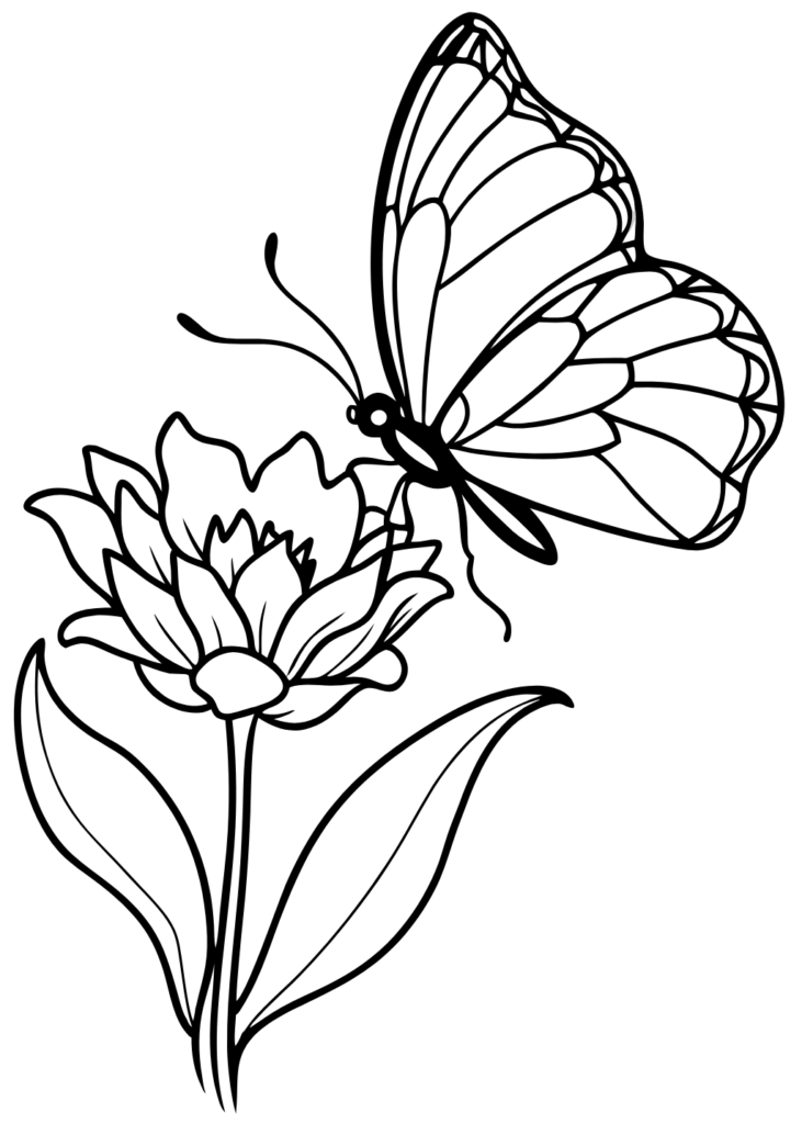 Butterfly Coloring Pages, butterfly coloring sheet, butterfly flower colouring pages, color pictures for kids, Coloring pages, coloring pages butterflies, Coloring Pages Butterfly, coloring sheets, coloring sheets for kids, free coloring sheets, free downlord, free drawings to color, free printable full size butterfly coloring pages, pdf, printable picture of a butterfly